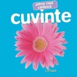 Prima mea carticica Cuvinte ed. 2