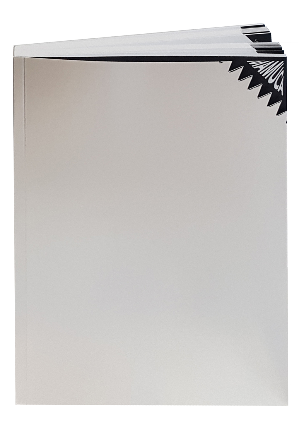 Mamuca: Mai-mult-ca-abstractul | Carola Chisiu, Silviu Dancu, Dan Popescu, Ioana Pearsica, Ioana Serban, Cristian Vechiu, Alexandra Zegrean Mamuca: Mai-mult-ca-abstractul | Carola Chisiu, Silviu Dancu, Dan Popescu, Ioana Pearsica, Ioana Serban, Cristian Vechiu, Alexandra Zegrean