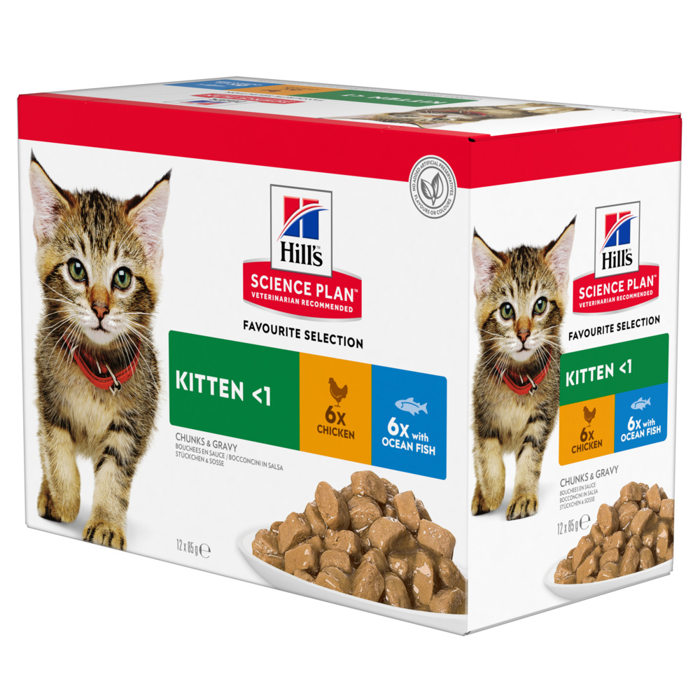 27x85g Selecție de pește Kitten Hill's Science Plan hrană umedă pisici 27x85g Selecție de pește Kitten Hill's Science Plan hrană umedă pisici