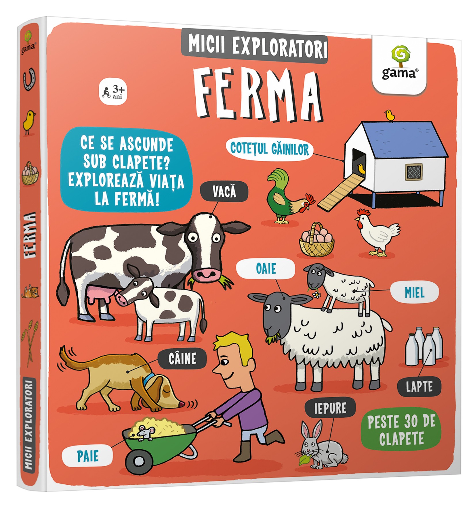 Ferma | Ruth Martin