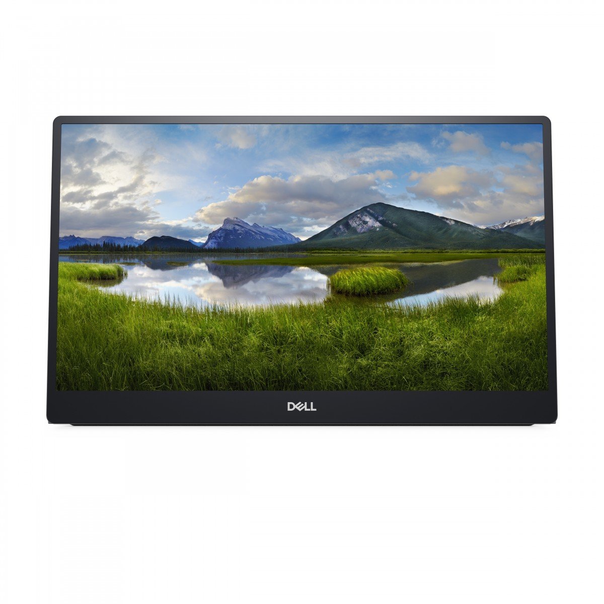 dell DELL P Series P1424H LED display 35,6 cm (14') 1920 x 1080 Pixel Full HD Ecran tactil Gri (DELL-P1424H) dell DELL P Series P1424H LED display 35,6 cm (14') 1920 x 1080 Pixel Full HD Ecran tactil Gri (DELL-P1424H)