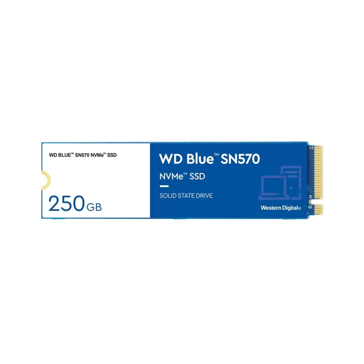 westerndigital Western Digital WD Blue SN570 M.2 250 GB PCI Express 3.0 NVMe (WDS250G3B0C) westerndigital Western Digital WD Blue SN570 M.2 250 GB PCI Express 3.0 NVMe (WDS250G3B0C)