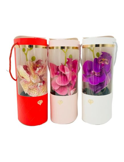 Orhidee Artificiala En-gros, ambalata in cutie deosebita, calitate superioara, 3flori si boboci pe fir, 28×10×8cm Orhidee Artificiala En-gros, ambalata in cutie deosebita, calitate superioara, 3flori si boboci pe fir, 28×10×8cm