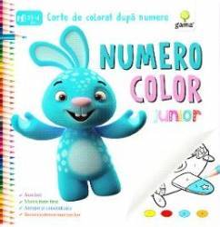 Numero Color Junior - Carte de colorat dupa numere