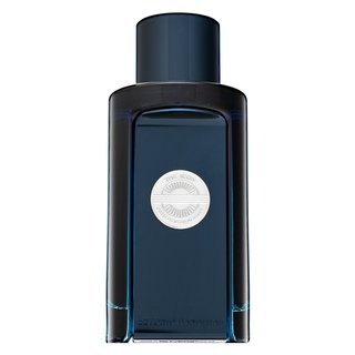 Antonio Banderas The Icon Eau de Toilette bărbați 100 ml Antonio Banderas The Icon Eau de Toilette bărbați 100 ml