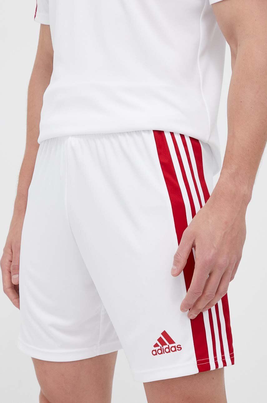 adidas Performance pantaloni scurți de antrenament Squadra 21 culoarea alb GN5770 adidas Performance pantaloni scurți de antrenament Squadra 21 culoarea alb GN5770