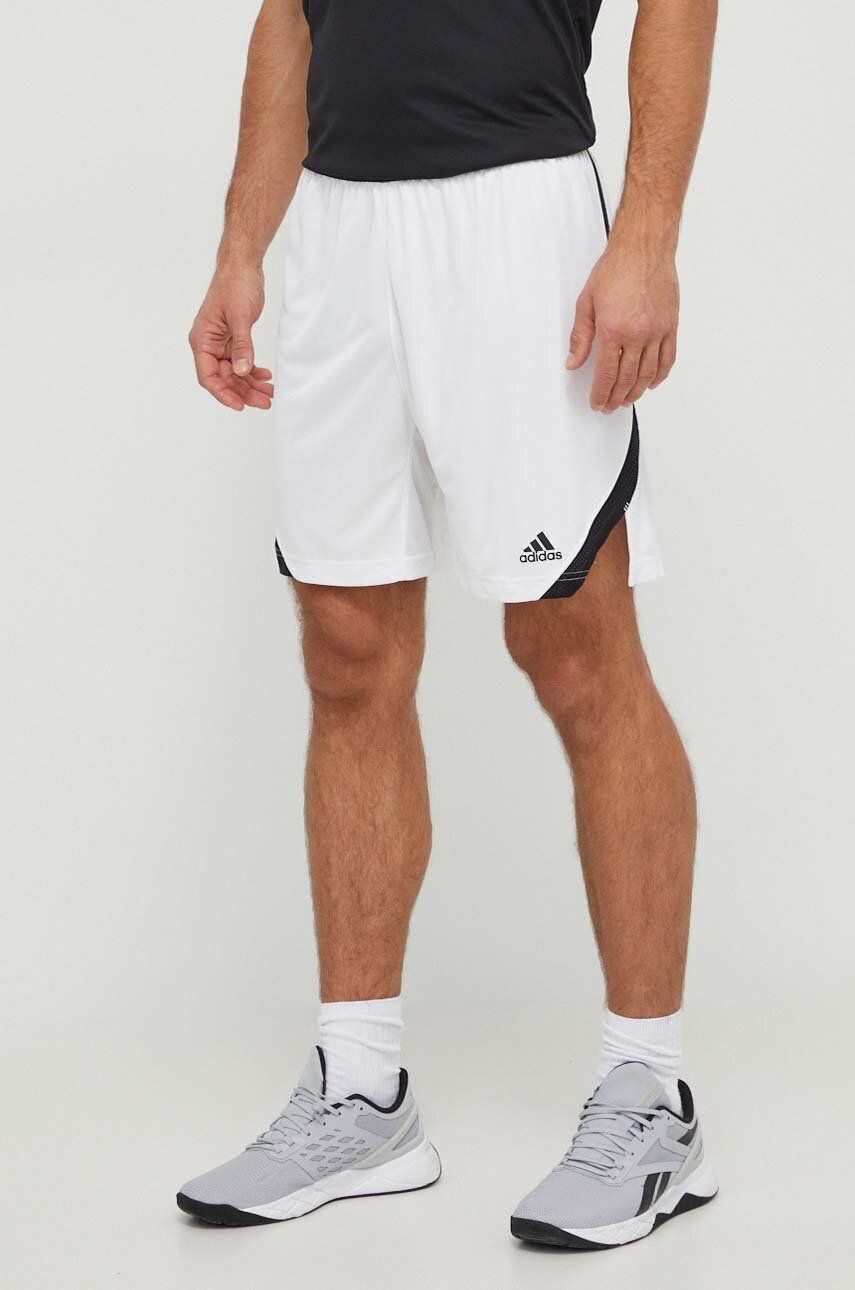 adidas Performance pantaloni scurți de antrenament Icon Squad culoarea alb HI5843 adidas Performance pantaloni scurți de antrenament Icon Squad culoarea alb HI5843