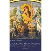 Crucea lucreaza in lume. Omilii pentru perioadele liturgice de peste an - Pr. John Behr Crucea lucreaza in lume. Omilii pentru perioadele liturgice de peste an - Pr. John Behr