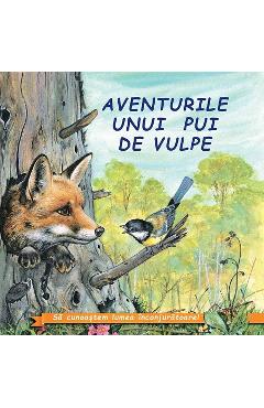 Aventurile unui pui de vulpe - Sa cunoastem lumea inconjuratoare! Aventurile unui pui de vulpe - Sa cunoastem lumea inconjuratoare!