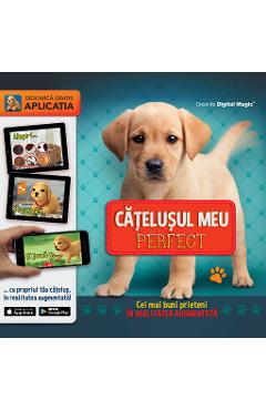 Catelusul meu perfect. Cei mai buni prieteni in Realitatea augmentata Catelusul meu perfect. Cei mai buni prieteni in Realitatea augmentata