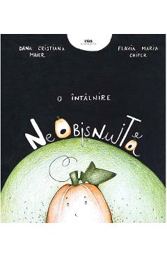 O intalnire neobisnuita - Dana Cristiana Maier, Flavia Maria Chiper O intalnire neobisnuita - Dana Cristiana Maier, Flavia Maria Chiper