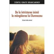 De la intristarea inimii la mangaierea lui Dumnezeu. Scrisori catre mireni -Sf. Ignatie Briancianinov De la intristarea inimii la mangaierea lui Dumnezeu. Scrisori catre mireni -Sf. Ignatie Briancianinov