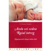 Acolo vei vedea Raiul intreg. Noua povestiri despre taina vietii - Dionisios Tampakis Acolo vei vedea Raiul intreg. Noua povestiri despre taina vietii - Dionisios Tampakis