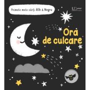 Primele mele carti Alb&Negru - Ora de culcare (Usborne) - Usborne Books Primele mele carti Alb&Negru - Ora de culcare (Usborne) - Usborne Books