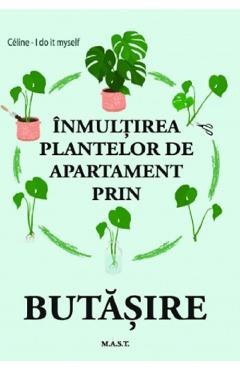 Inmultirea plantelor de apartament prin butasire - Celine, I Do It Myself Inmultirea plantelor de apartament prin butasire - Celine, I Do It Myself