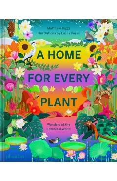 A Home for Every Plant: Wonders of the Botanical World - Matthew Biggs A Home for Every Plant: Wonders of the Botanical World - Matthew Biggs