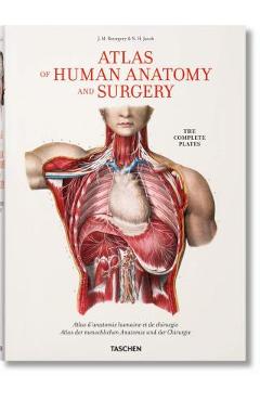 Bourgery. Atlas of Human Anatomy and Surgery - Jean-marie Le Minor Bourgery. Atlas of Human Anatomy and Surgery - Jean-marie Le Minor