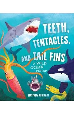Teeth, Tentacles, and Tail Fins: A Wild Ocean Pop-Up (Reinhart Studios) (Ocean Book for Kids, Shark Book for Kids, Nature Book for Kids) - Matthew Reinhart Teeth, Tentacles, and Tail Fins: A Wild Ocean Pop-Up (Reinhart Studios) (Ocean Book for Kids, Shark Book for Kids, Nature Book for Kids) - Matthew Reinhart