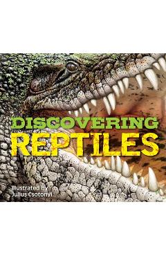 Discovering Reptiles: The Ultimate Handbook to the Reptiles of the World! - Csotonyi Discovering Reptiles: The Ultimate Handbook to the Reptiles of the World! - Csotonyi