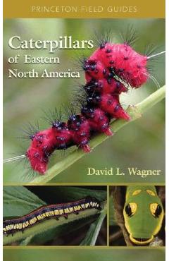 Caterpillars of Eastern North America: A Guide to Identification and Natural History - David L. Wagner Caterpillars of Eastern North America: A Guide to Identification and Natural History - David L. Wagner