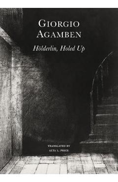 Hölderlin's Madness: Chronicle of a Dwelling Life, 1806-1843 - Giorgio Agamben Hölderlin's Madness: Chronicle of a Dwelling Life, 1806-1843 - Giorgio Agamben