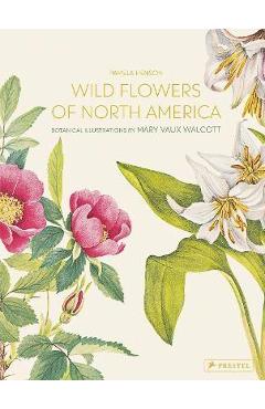 Wild Flowers of North America: Botanical Illustrations by Mary Vaux Walcott - Pamela Henson Wild Flowers of North America: Botanical Illustrations by Mary Vaux Walcott - Pamela Henson