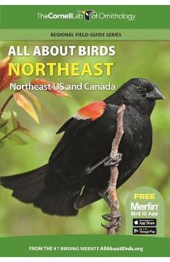 All about Birds Northeast: Northeast Us and Canada - Cornell Lab Of Ornithology All about Birds Northeast: Northeast Us and Canada - Cornell Lab Of Ornithology