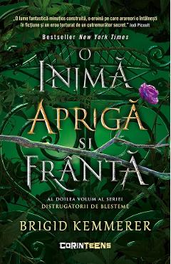 eBook O inima apriga si franta. Seria Distrugatorii de blesteme Vol.2 - Brigid Kemmerer eBook O inima apriga si franta. Seria Distrugatorii de blesteme Vol.2 - Brigid Kemmerer