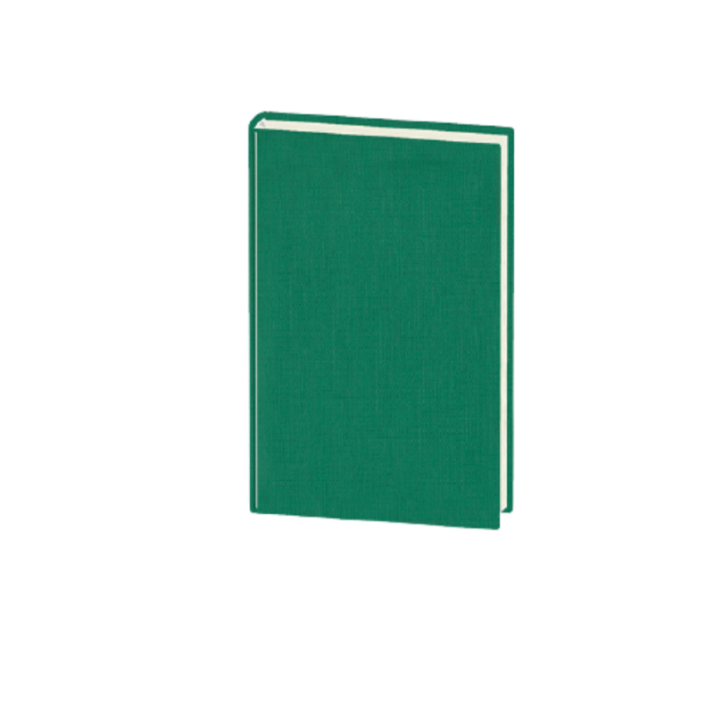 Agenda A5 Zilnica Ego Basic, Datata 2022, 352 File, Verde, 7 Pagini Color, 70 g/m² Agenda A5 Zilnica Ego Basic, Datata 2022, 352 File, Verde, 7 Pagini Color, 70 g/m²
