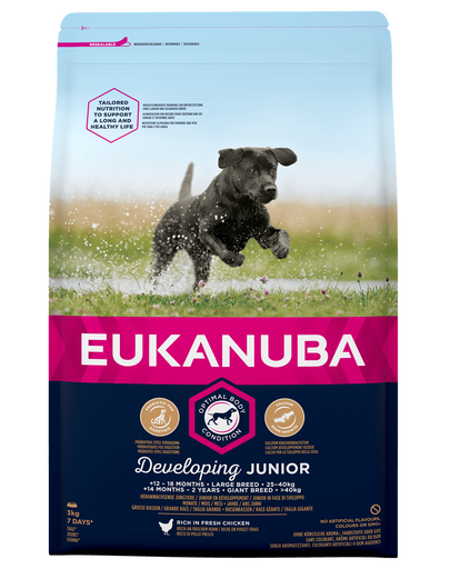 EUKANUBA Developing Junior Large Breed hrana uscata caini juniori talie mare, bogat in pui 3kg EUKANUBA Developing Junior Large Breed hrana uscata caini juniori talie mare, bogat in pui 3kg