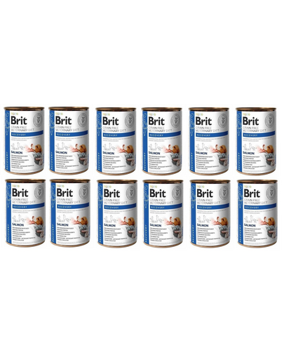 BRIT Veterinary Diet Recovery Salmon hrana dietetica pentru caini si pisici 12x400 g BRIT Veterinary Diet Recovery Salmon hrana dietetica pentru caini si pisici 12x400 g