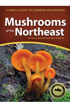 Mushrooms of the Northeast: A Simple Guide to Common Mushrooms - Teresa Marrone Mushrooms of the Northeast: A Simple Guide to Common Mushrooms - Teresa Marrone