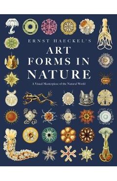 Ernst Haeckel's Art Forms in Nature: A Visual Masterpiece of the Natural World - Adolf Glitsch Ernst Haeckel's Art Forms in Nature: A Visual Masterpiece of the Natural World - Adolf Glitsch