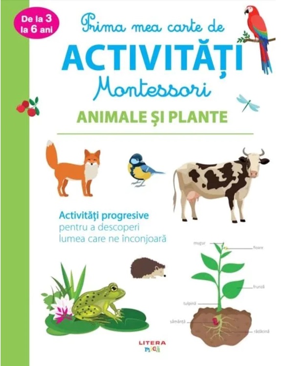 Animale si plante |