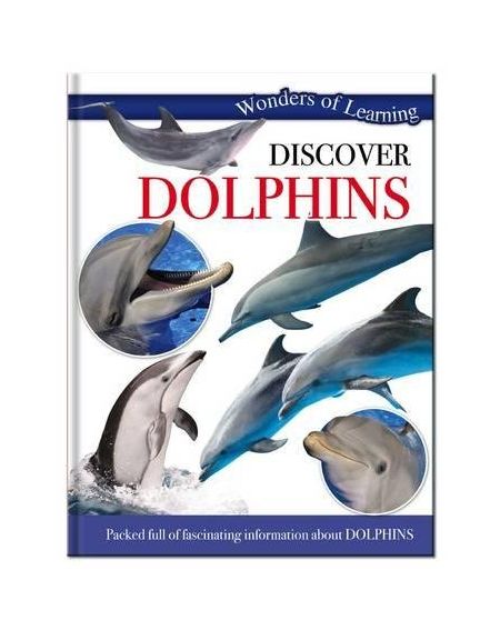 Discover Dolphin |