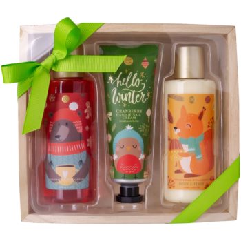 Accentra Hello Winter set cadou (pentru toate tipurile de piele) Accentra Hello Winter set cadou (pentru toate tipurile de piele)