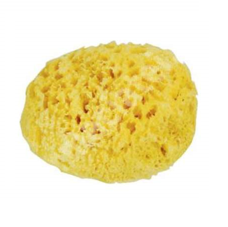 Burete natural de mare Honeycomb Spugnificio Bellini nr.12, 1 bucata, Dr. Brown's Burete natural de mare Honeycomb Spugnificio Bellini nr.12, 1 bucata, Dr. Brown's