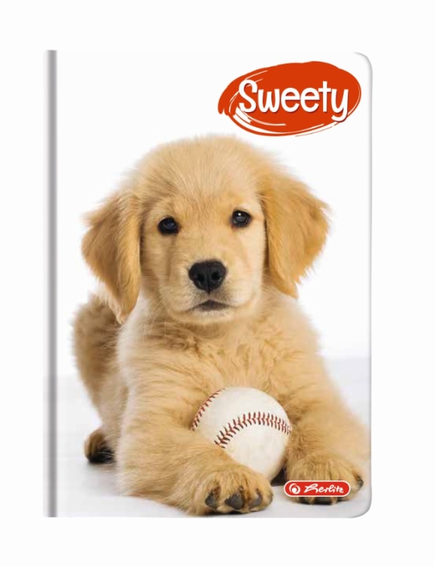 Agenda A6 Nedatata Sweety 352 File Motiv Golden Retriever