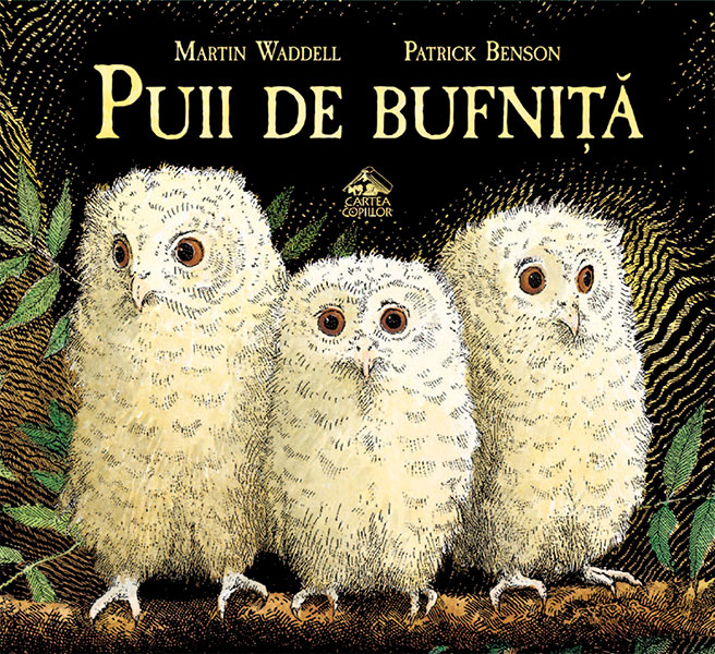 Puii de bufnita | Martin Waddell