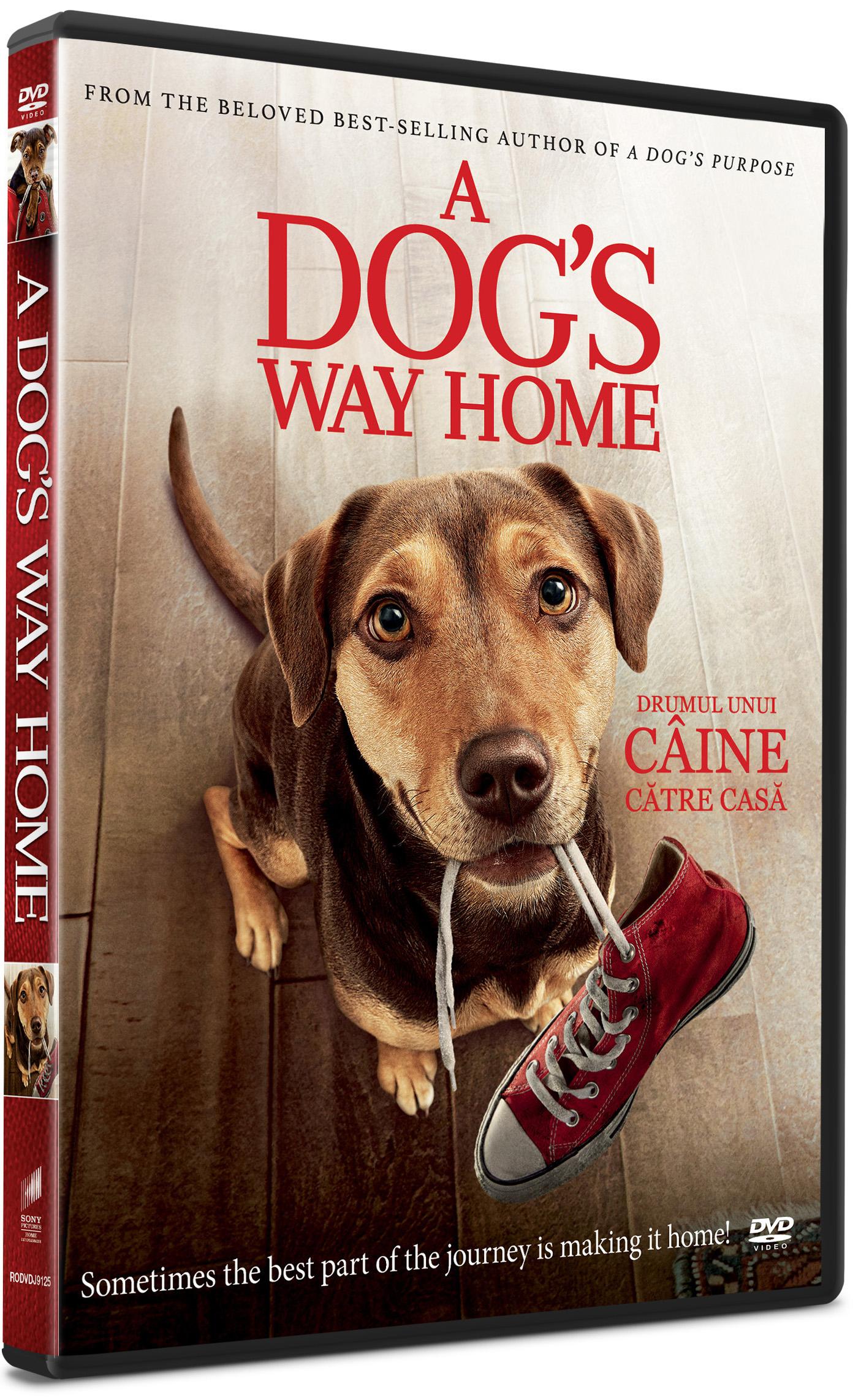 Drumul unui caine catre casa / A Dog's Way Home | Charles Martin Smith Drumul unui caine catre casa / A Dog's Way Home | Charles Martin Smith