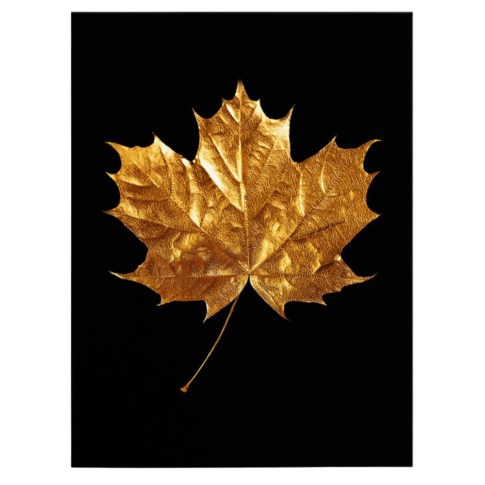 Frunza aurie de artar tablou - Material produs:: Poster pe hartie FARA RAMA, Dimensiunea:: 50x70 cm Frunza aurie de artar tablou - Material produs:: Poster pe hartie FARA RAMA, Dimensiunea:: 50x70 cm