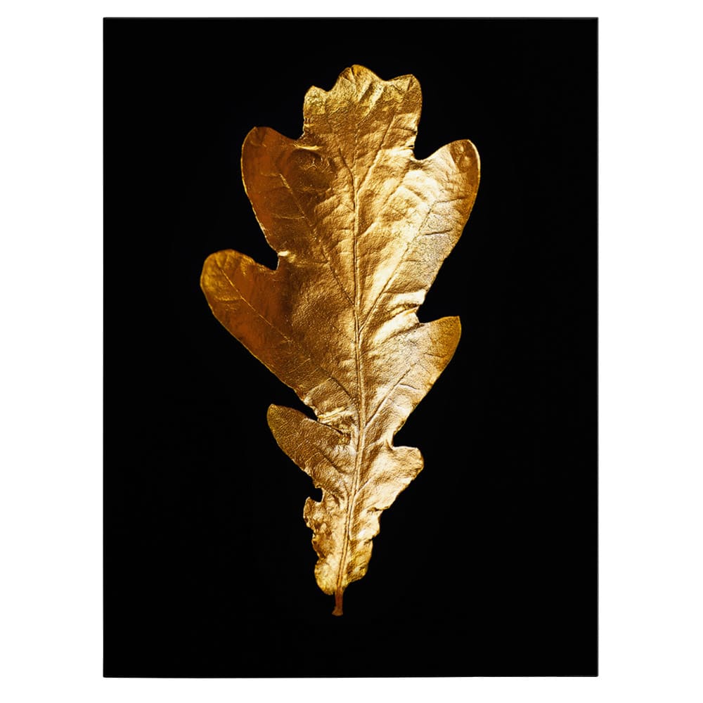 Frunza aurie de stejar tablou - Material produs:: Tablou canvas pe panza CU RAMA, Dimensiunea:: 40x60 cm Frunza aurie de stejar tablou - Material produs:: Tablou canvas pe panza CU RAMA, Dimensiunea:: 40x60 cm