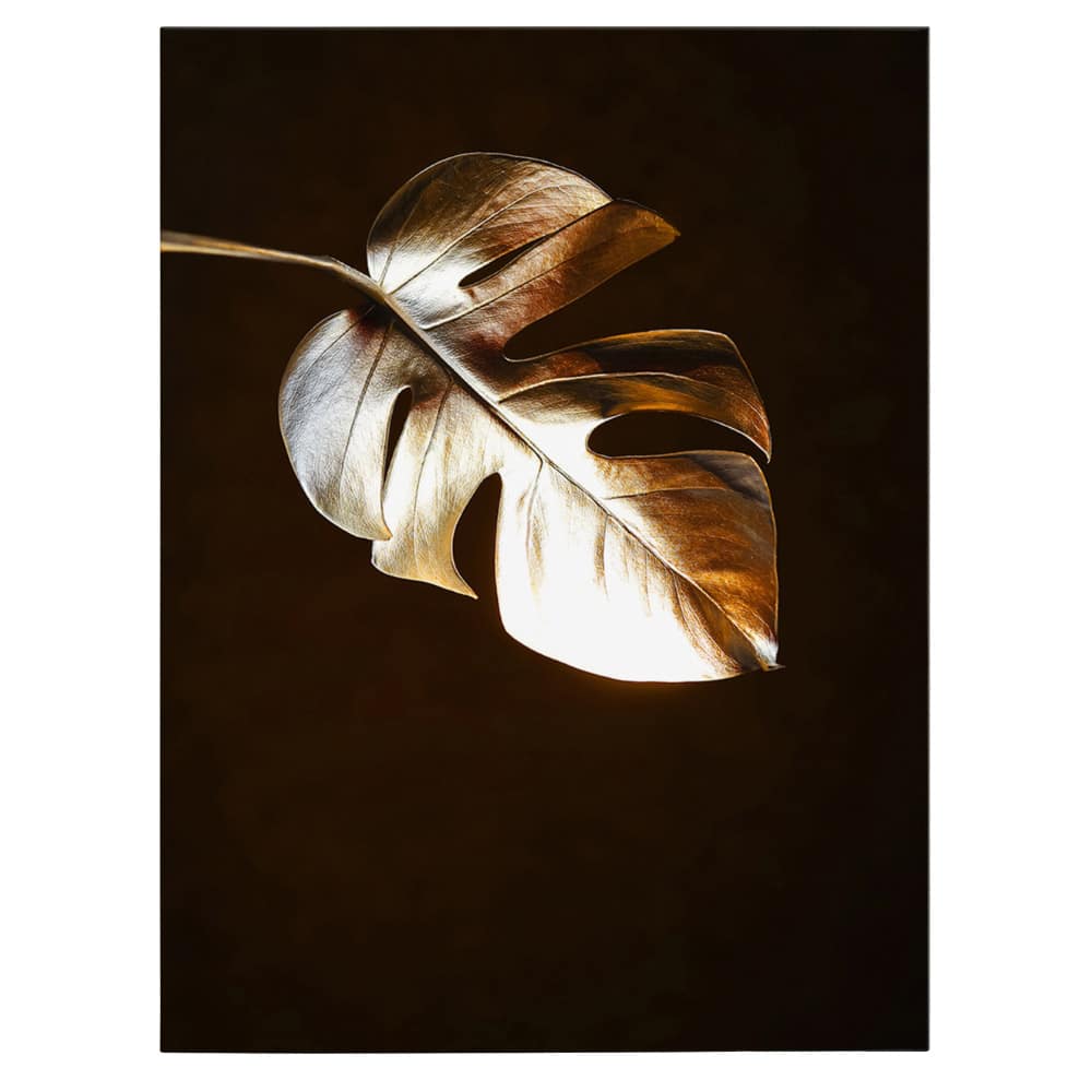 Frunza Aurie Monstera Tablou - Material produs:: Poster pe hartie FARA RAMA, Dimensiunea:: 50x70 cm Frunza Aurie Monstera Tablou - Material produs:: Poster pe hartie FARA RAMA, Dimensiunea:: 50x70 cm