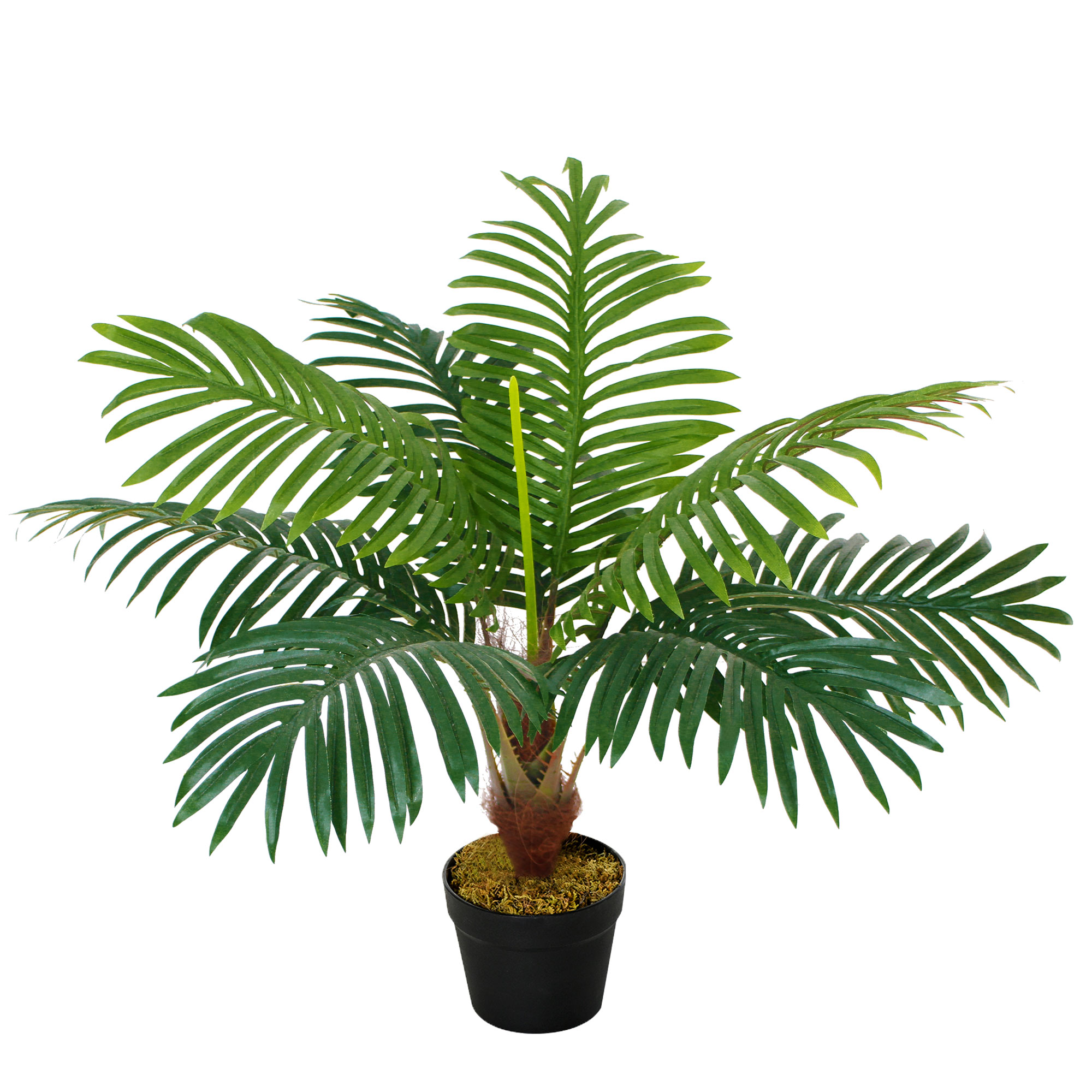 Palmier decorativ din plastic, Ф16x60 cm, verde Outsunny | Aosom RO Palmier decorativ din plastic, Ф16x60 cm, verde Outsunny | Aosom RO