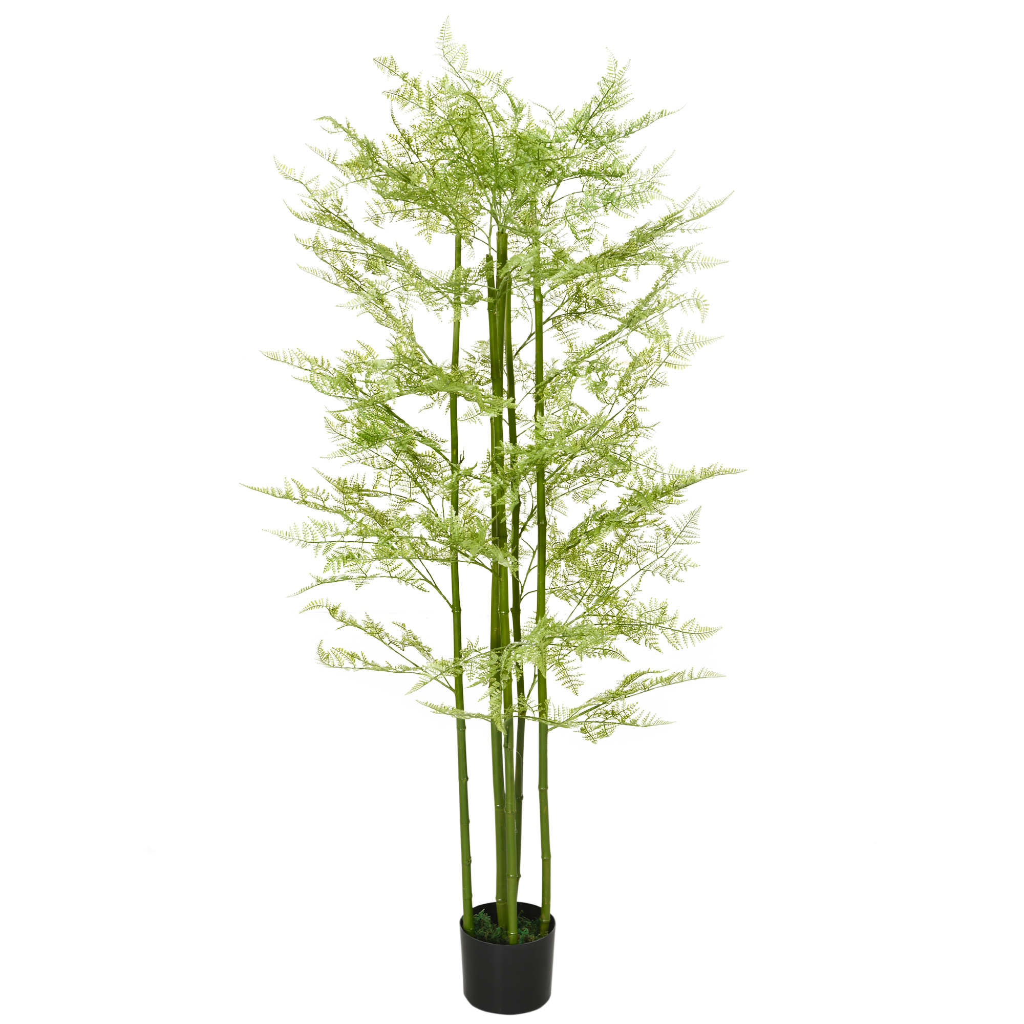 Plante decorative artificiale Feriga Asparagus in ghiveci Plante false pentru decor interior, exterior, 155 cm HOMCOM | Aosom RO Plante decorative artificiale Feriga Asparagus in ghiveci Plante false pentru decor interior, exterior, 155 cm HOMCOM | Aosom RO