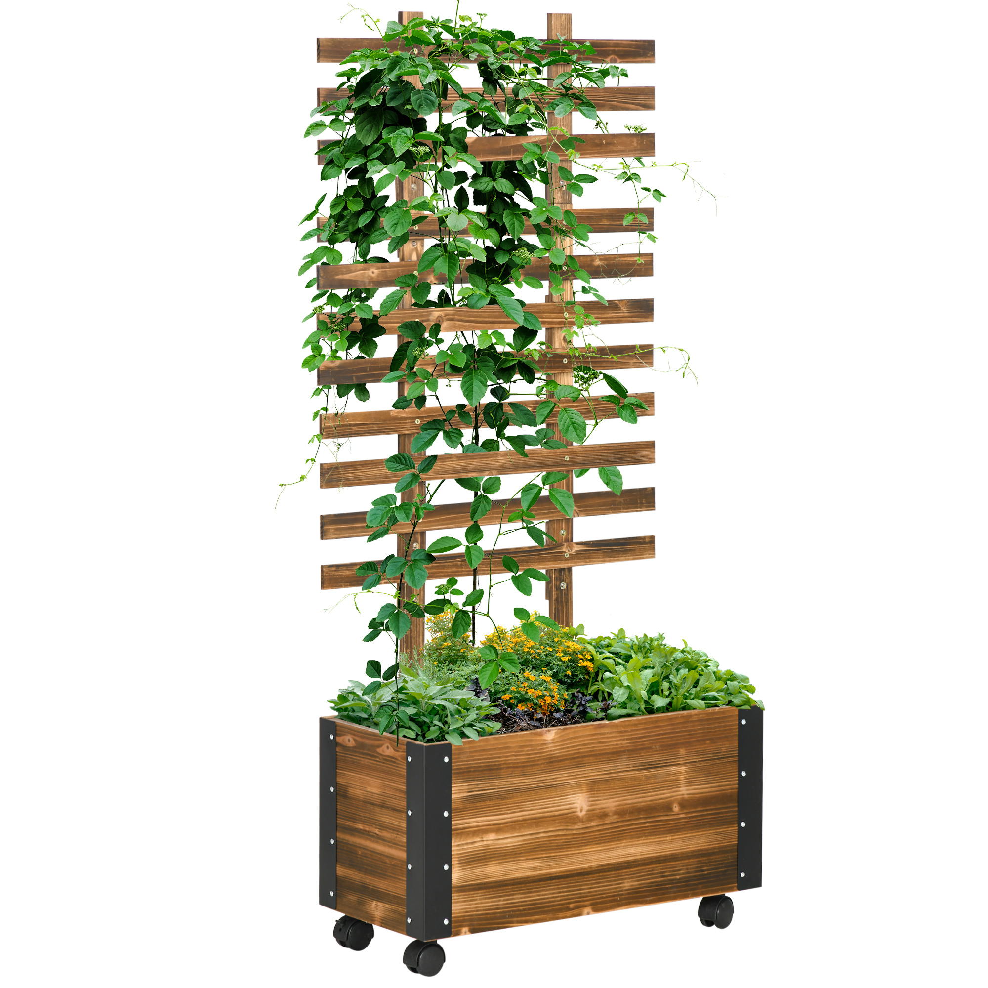 Outsunny Jardiniera cu Spalier pentru Plante Agatatoare si Roti, Jardiniera din Lemn de Brad cu Design Autodrenant, 65x31x147 cm, Maro Carbonizat Outsunny Jardiniera cu Spalier pentru Plante Agatatoare si Roti, Jardiniera din Lemn de Brad cu Design Autodrenant, 65x31x147 cm, Maro Carbonizat