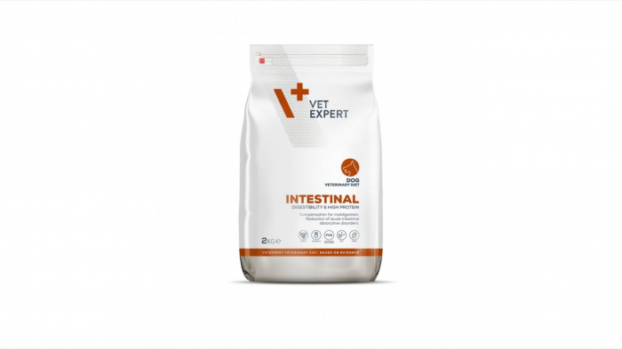 4T DIETA VETERINARA INTESTINAL DOG 2 KG