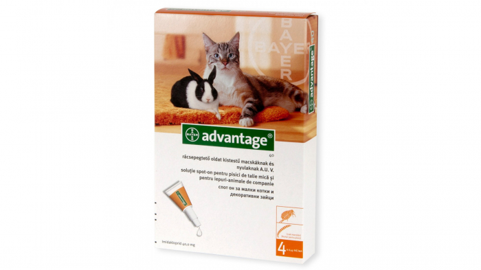 Advantage 40 Pisica Iepure, 4 pipete