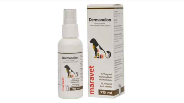 Dermanolon spray, 75 ml