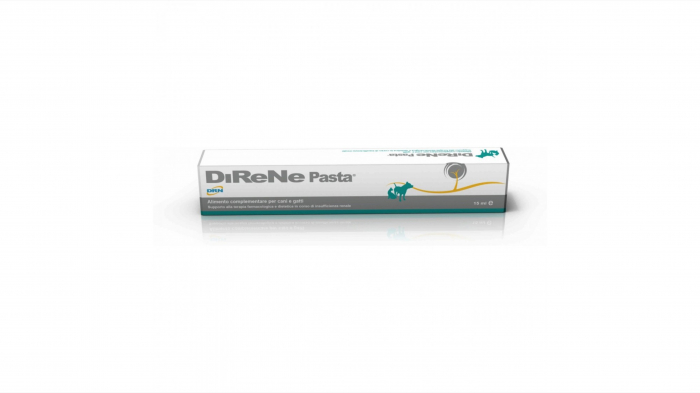 DIRENE Pasta, 15 ml